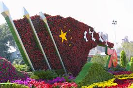 扬中城市绿化带种植什么植物好