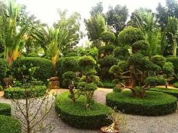 beats365中文官网 文明城市绿化空港
